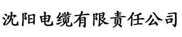 霍水儿吃霍泽棒棒糖电缆厂logo